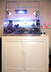 P1040059-1.JPG