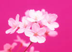 11602216_T2.jpg