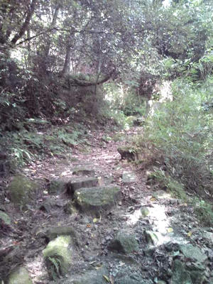 福岡市 油山
