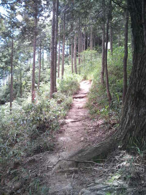 福岡市 油山