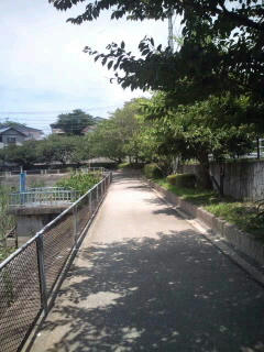 公園でジョギング