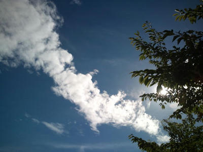 福岡市　2010年8月の空