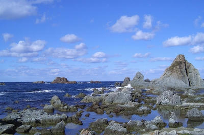 海