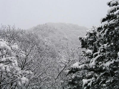 雪