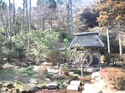 福岡市 油山