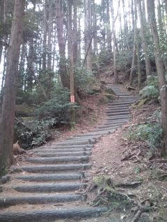 山