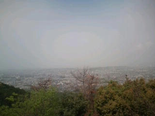 山