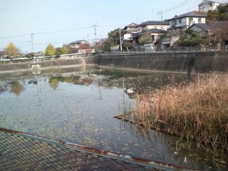 福岡市