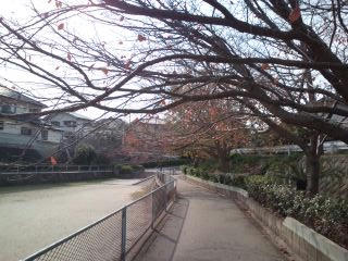 福岡市