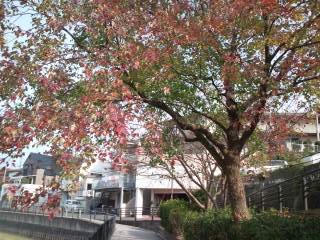 福岡市