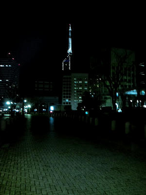 福岡タワー 夜景写真