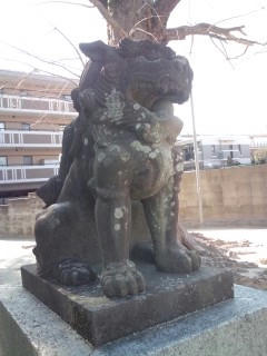 狛犬(こまいぬ)