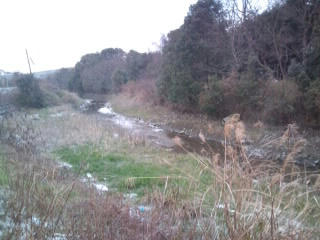 20120202.jpg