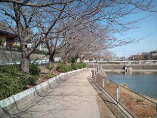 福岡市快晴