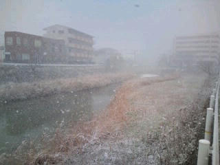福岡は雪