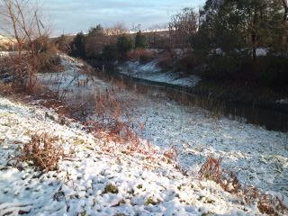 福岡市の雪