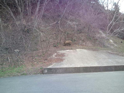 福岡市 油山
