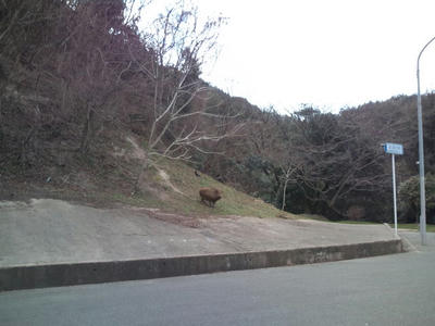 福岡市 油山