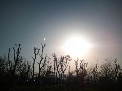 HI3F0382.jpg