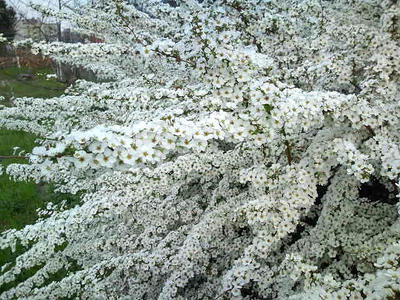 HI3F0386.jpg