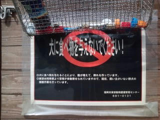 福岡市 油山 片江展望台
