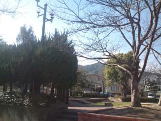 福岡市公園