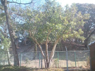 福岡市公園