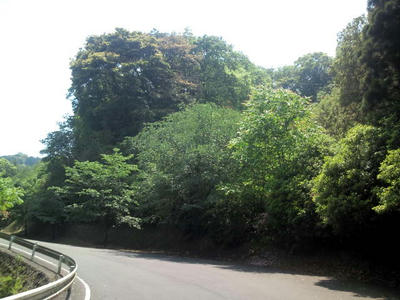 福岡市 油山