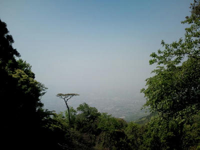 福岡市 油山