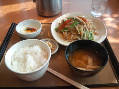 やよい軒 肉野菜炒め定食