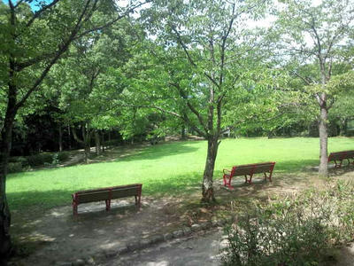 2013年夏