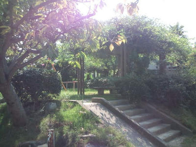 福岡市公園