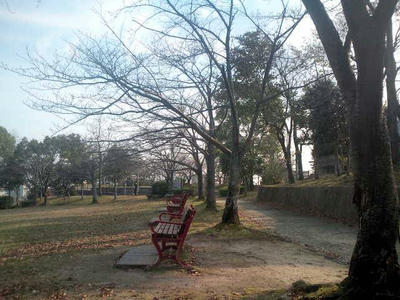 福岡市　冬　公園