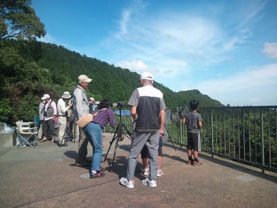福岡市　城南区　油山　片江展望台　野鳥