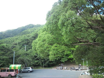 福岡市油山
