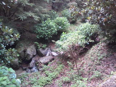 福岡市油山