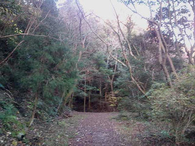 福岡市油山