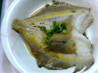 砂</a>ガレイ