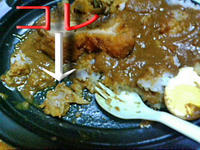 異物混入カレー
