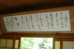 4593d95d.JPG