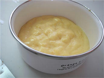 381ee376.jpg
