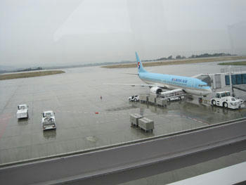 48612736.jpg