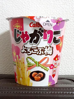 130305.jpg