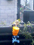 080306_0901~0002.jpg