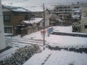CA330125.gif