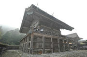 hondenhaikan.jpg