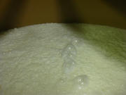 317a8f83.JPG