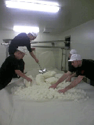 090120_0830~01.jpg.gif