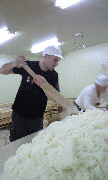 CA390537.gif