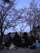 CA390327.JPG